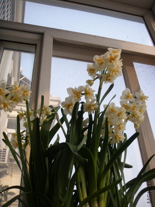 P3100933.JPG
