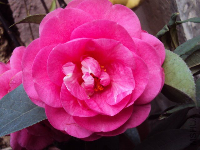 DSC05574.JPG