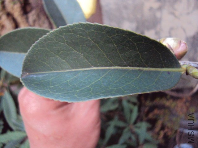 DSC05577.JPG