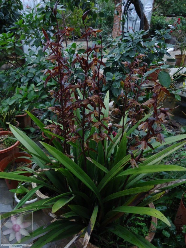 DSC00075.jpg