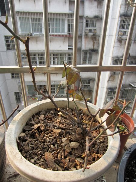 �������������