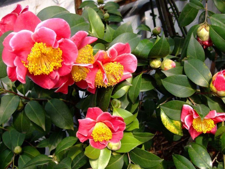 ��˸ 2012-3-14f 067.jpg