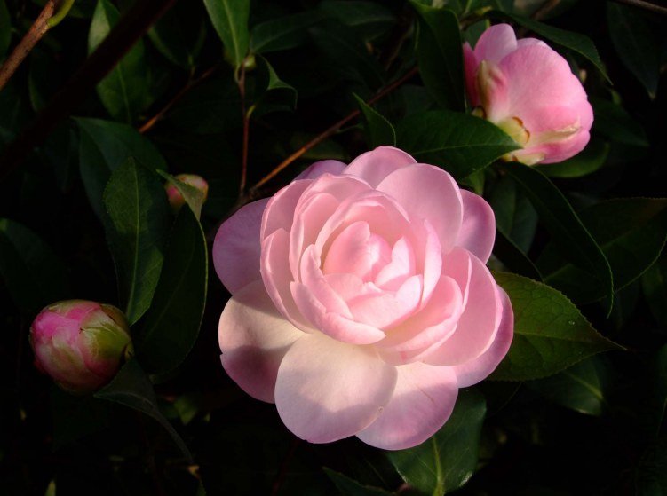 Ʈ�� 2012-3-14f 068.jpg