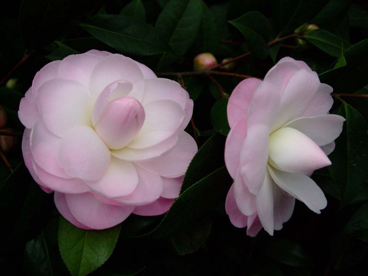 Ʈ�� 2012-3-15f 018.jpg
