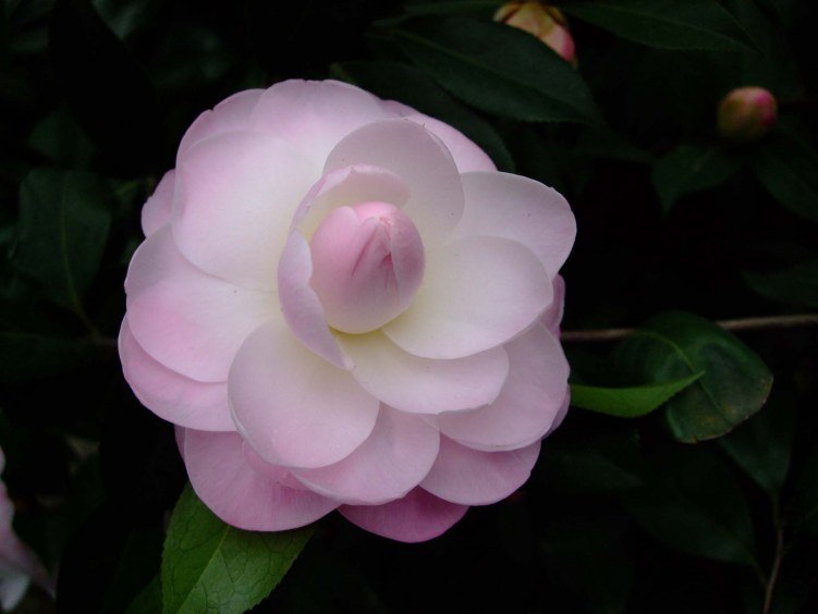 Ʈ�� 2012-3-15f 030.jpg