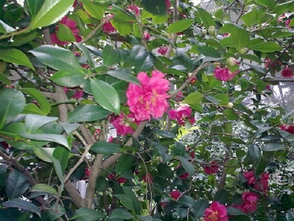 20120304837.jpg