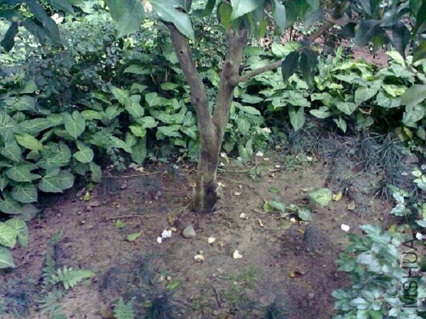 20120304840.jpg