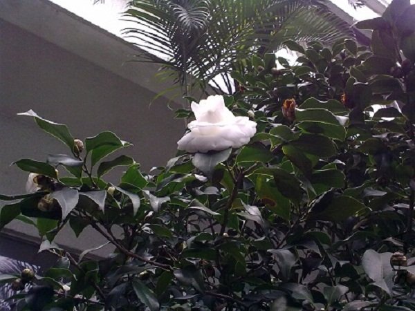 20120304842.jpg