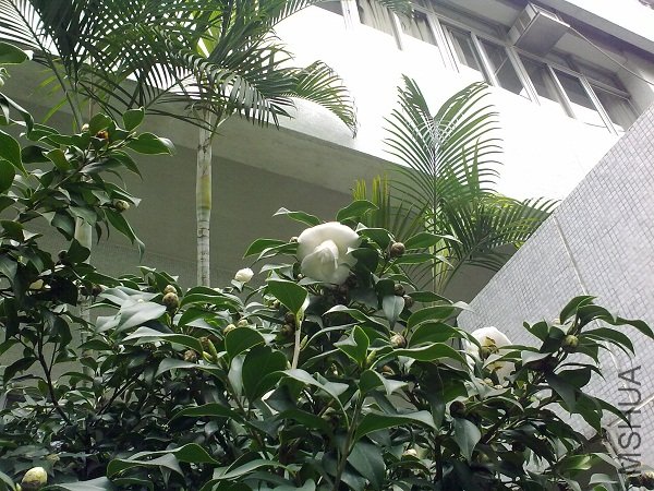 20120315877.jpg