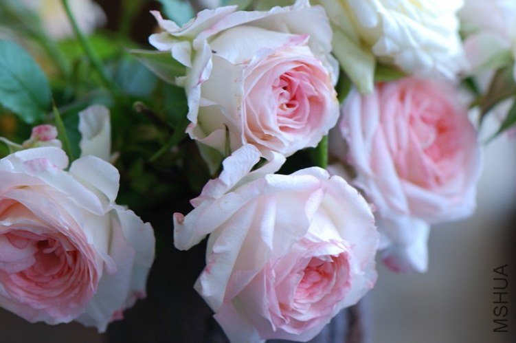 �ɰ��ࣨLovery More��5.jpg