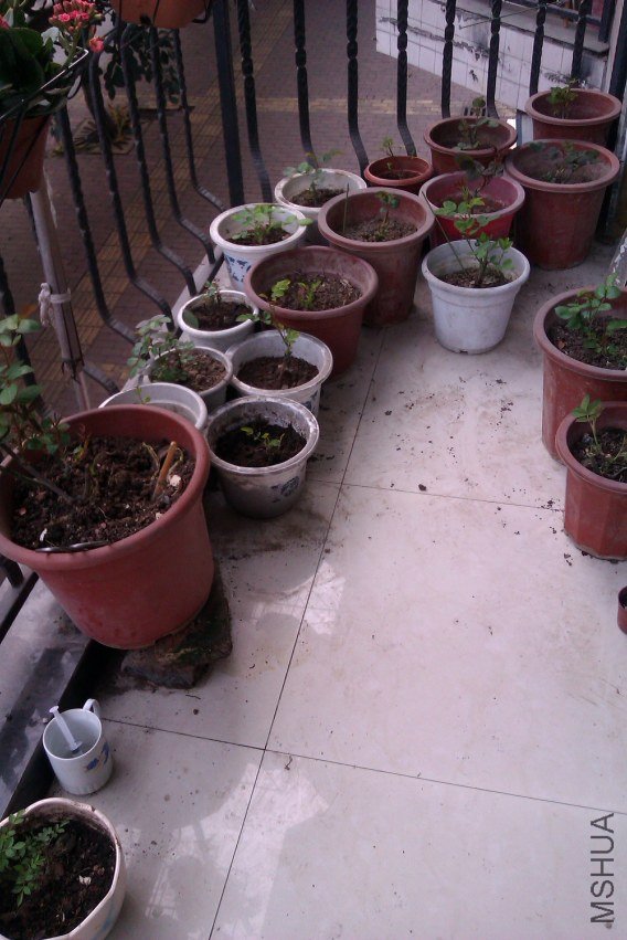 IMAG0095.jpg