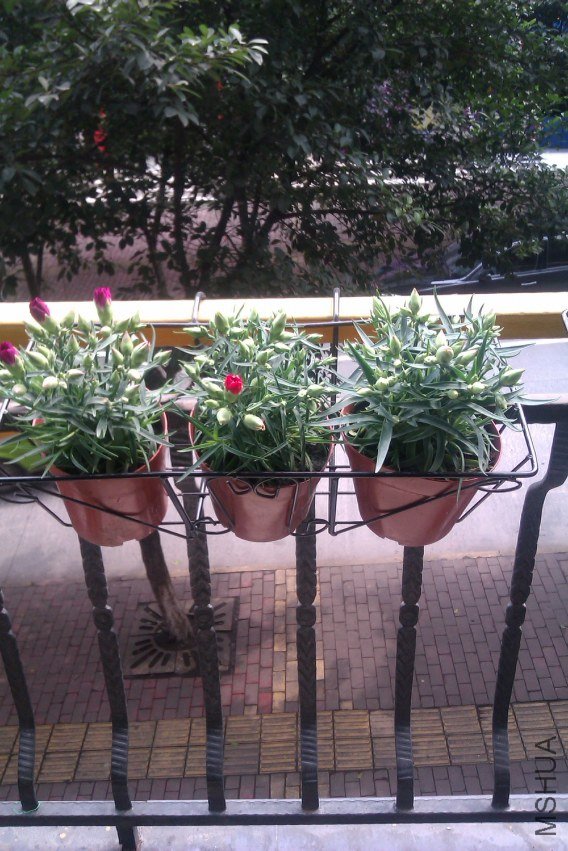 IMAG0057.jpg