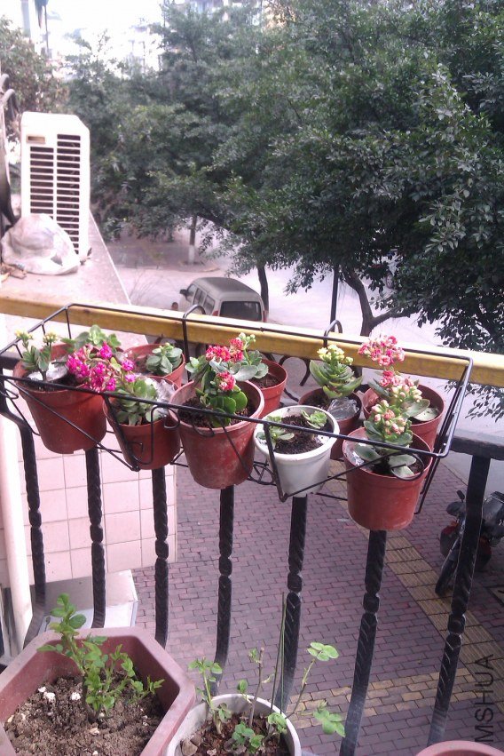 ����̳��������ת�ĳ���