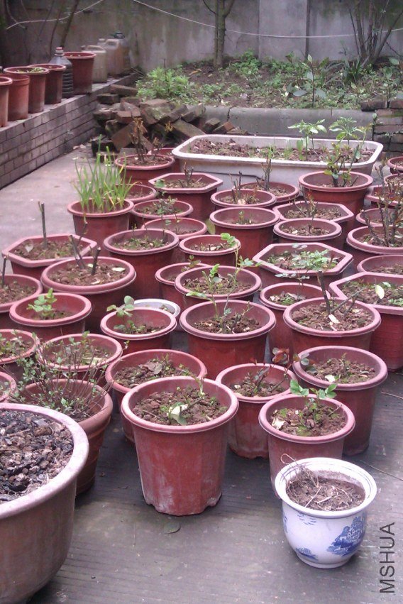 IMAG0087.jpg