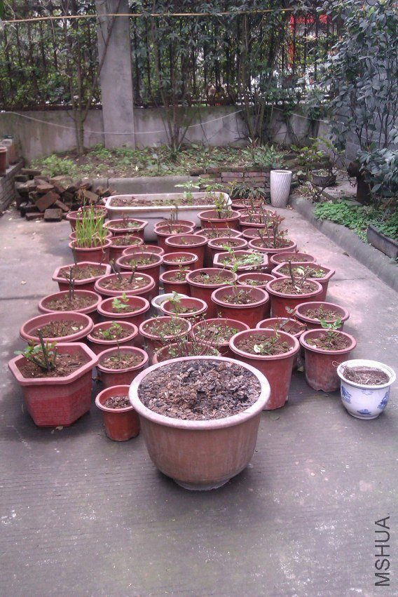 IMAG0079.jpg