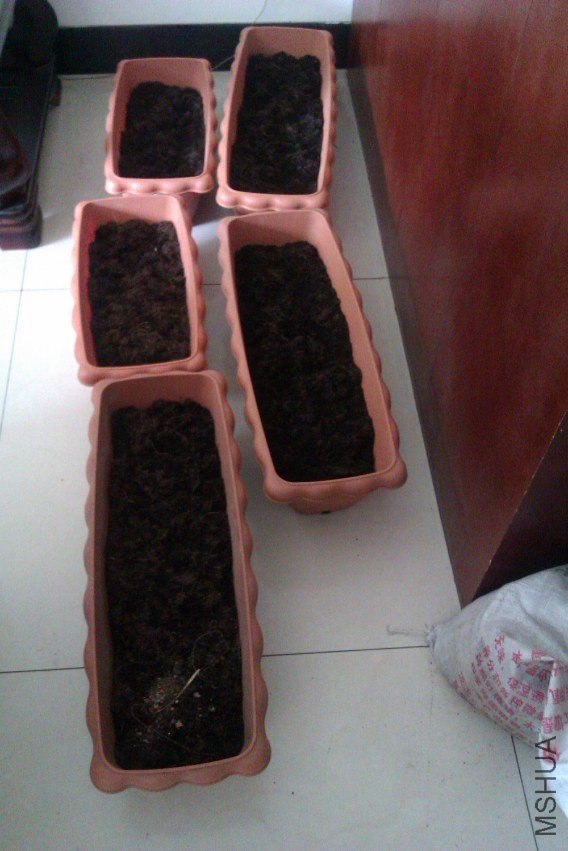 IMAG0073.jpg