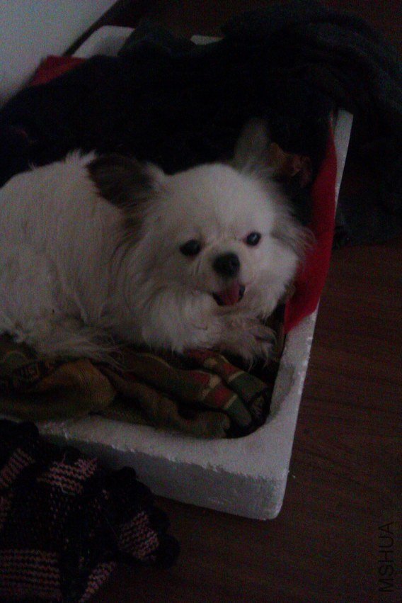 IMAG0074.jpg