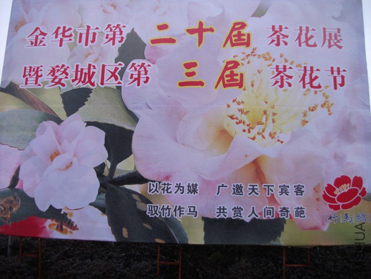 DSCF4371_����.jpg