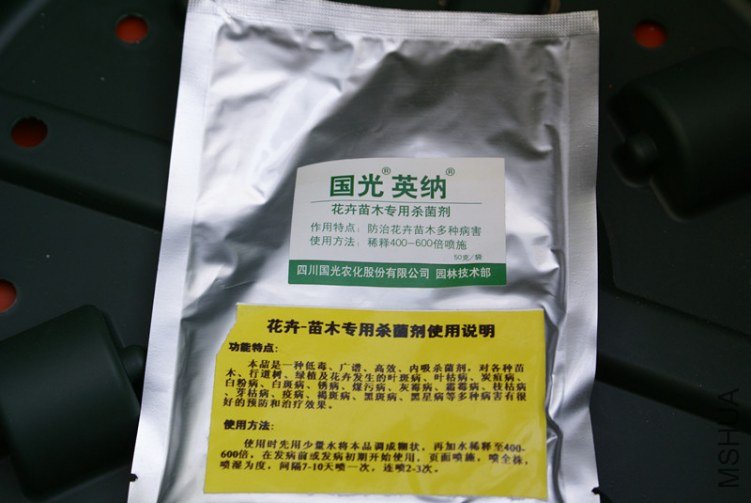 DSC05775_����.jpg
