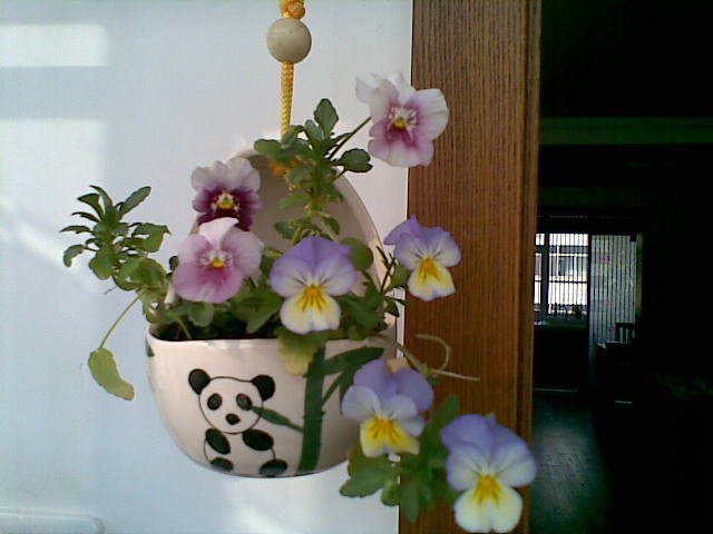 20120313(002).jpg