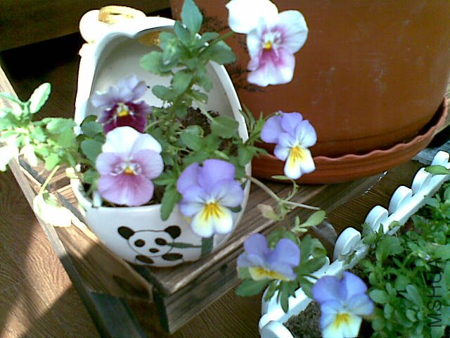 20120313(017).jpg