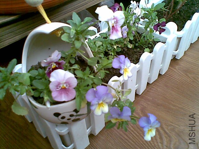 20120313(023).jpg