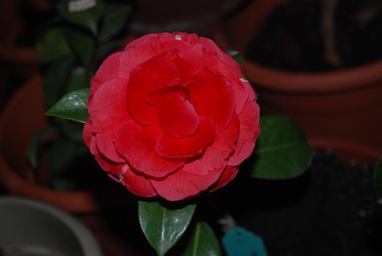 DSC_0357.JPG