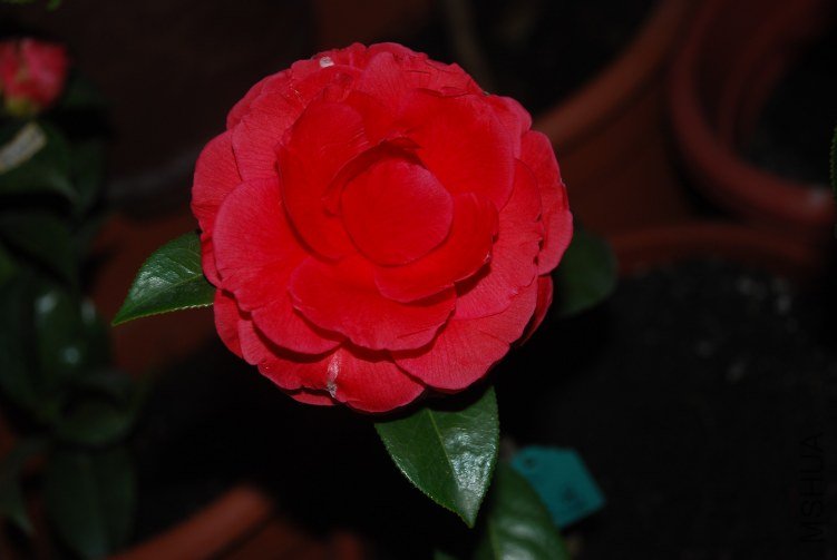 DSC_0362.JPG