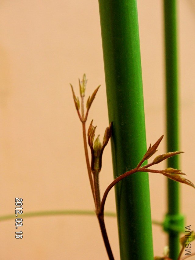 PICT0006.JPG