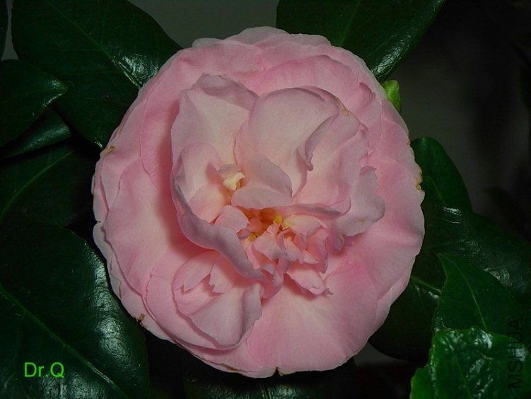0316-4.JPG
