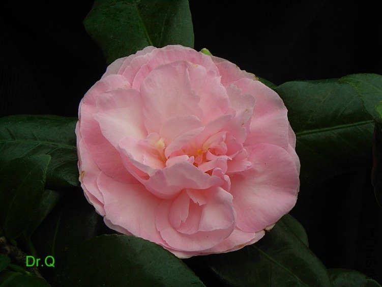 0316-7.JPG