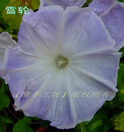 ��ģ��6 ѩ�� 2.jpg