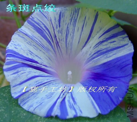 ��ģ��9 ���ߵ�� 2.jpg