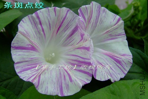 ��ģ��9 ���ߵ�� 3.jpg