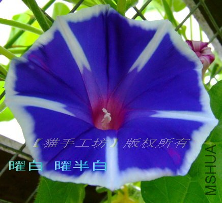 �װ� �װ��.jpg