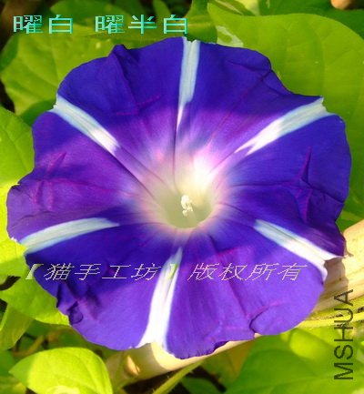 �װ� �װ�� 2.jpg