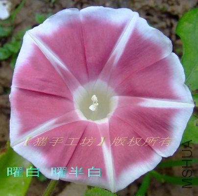 �װ� �װ�� 4.jpg