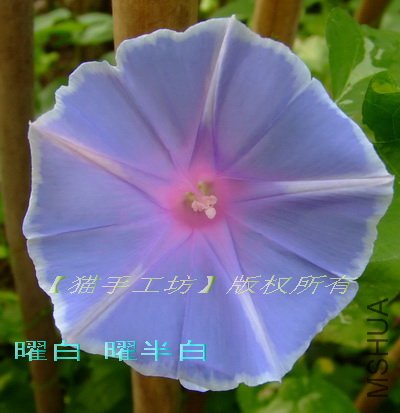 �װ� �װ�� 3.jpg