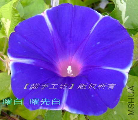 �װ� ���Ȱ� 5.jpg