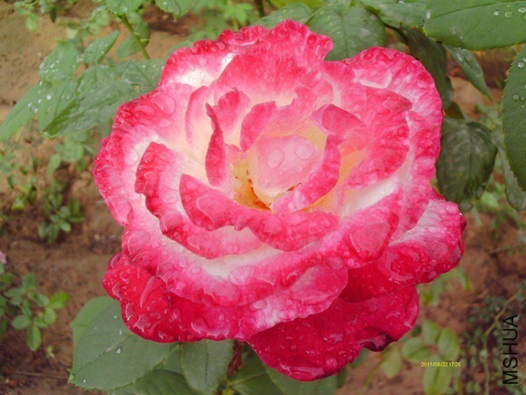 imag0022.jpg