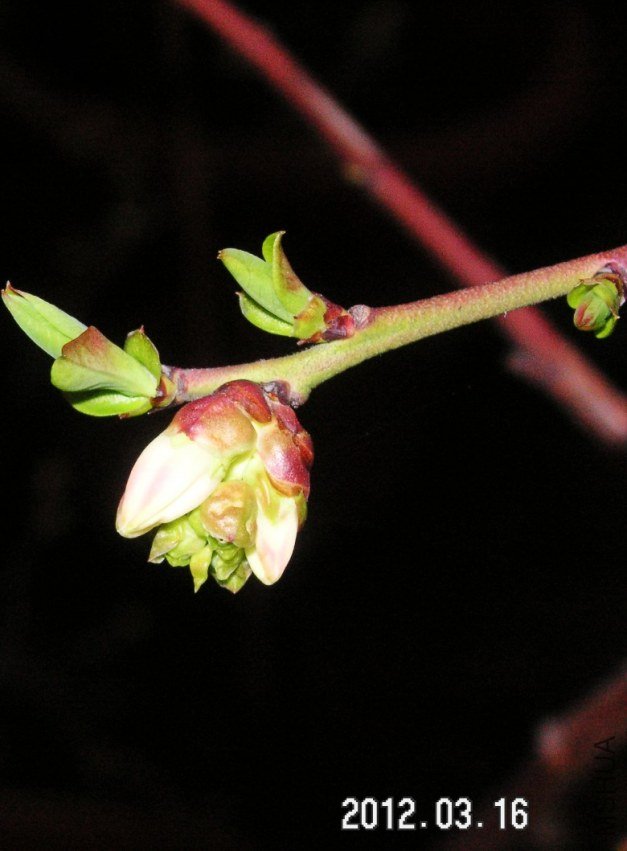 PICT0001.JPG