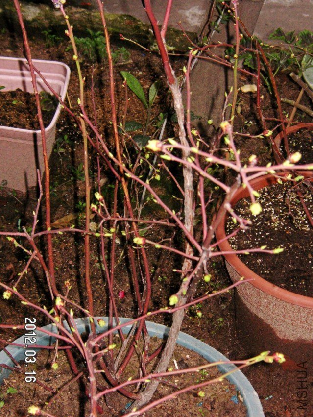 PICT0015.JPG