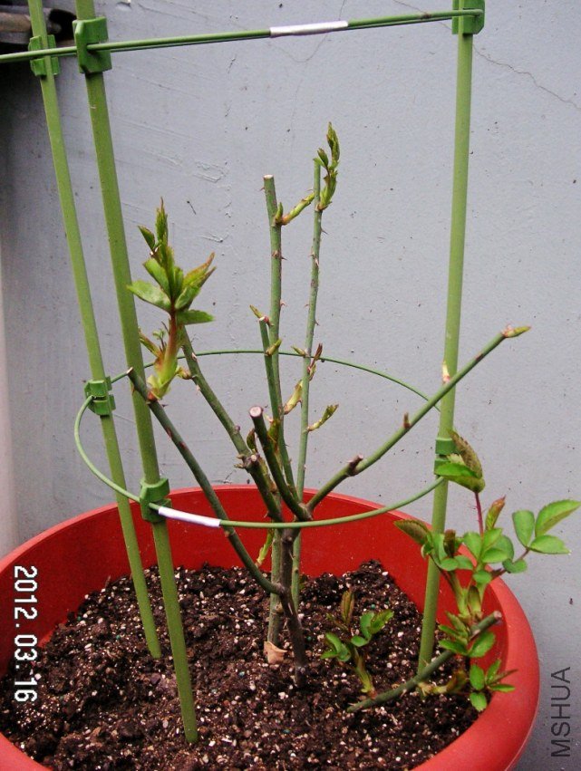 PICT0012.JPG