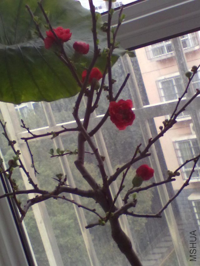 201203171603.jpg