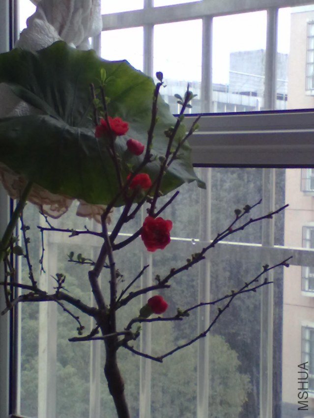 201203171604.jpg