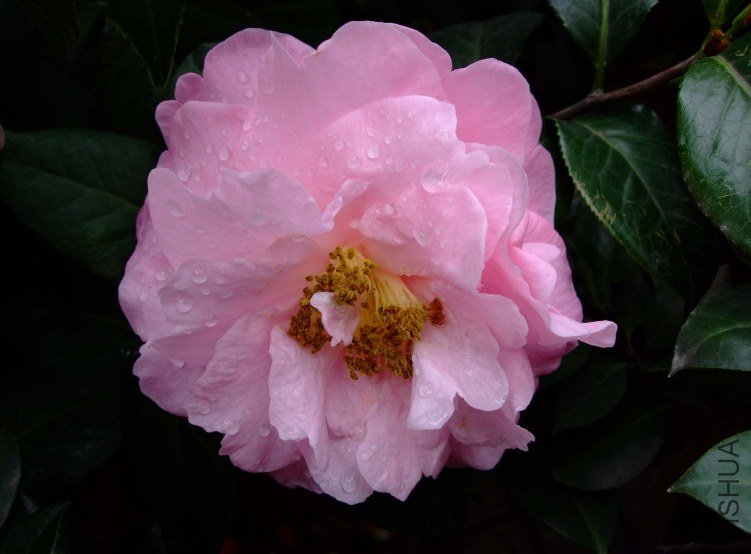 ��� 11-4-13f 040.jpg