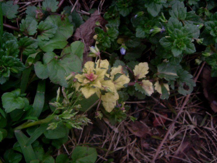 DSC03673.JPG