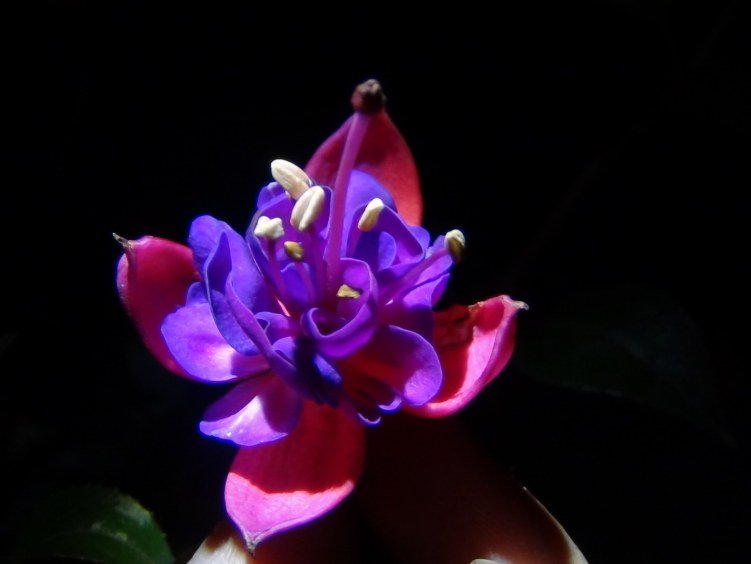 DSC01624.JPG