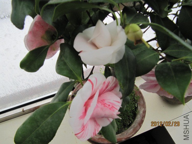 IMG_0014.JPG