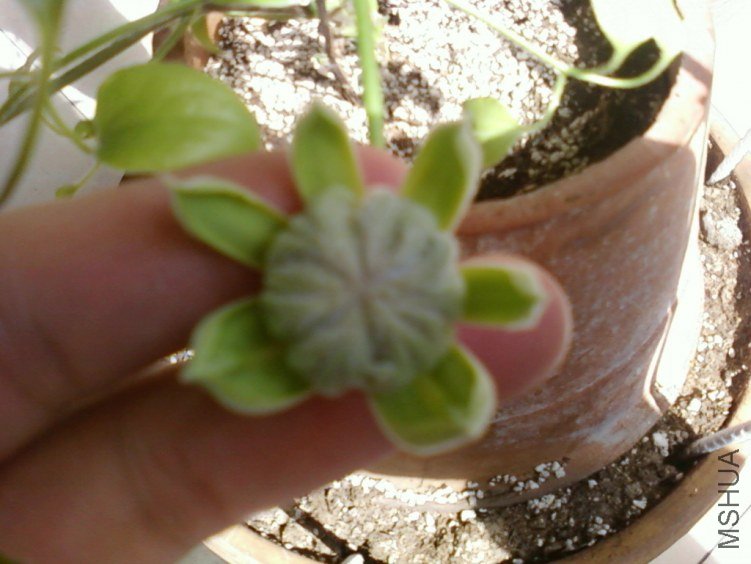 ��Ƭ-0501.jpg